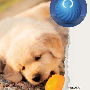 Pelota Interactiva