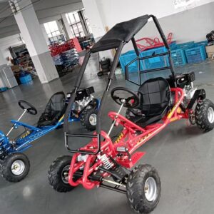 Buggy Con Jaula